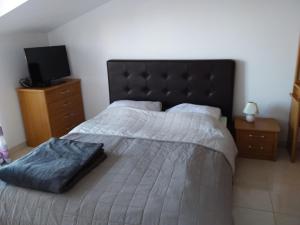 1 dormitorio con 1 cama grande y TV de pantalla plana en House apartments Ariamare, en Poreč