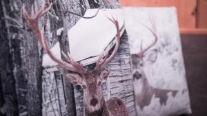 Gallery image of Residence Ciasa Vedla in Badia