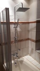 a shower in a bathroom with a sink at Gästehaus Schütz in Gries