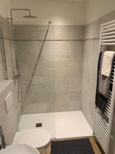 a bathroom with a shower and a toilet at Alloggio Casa Talvena Longarone in Longarone