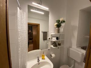 Koupelna v ubytování Apartment Ahrquelle im Posthalterhof mit Sauna