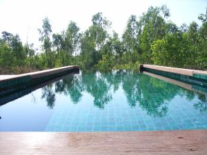 The swimming pool at or close to Green Gecko
