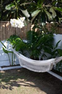 Ein Garten an der Unterkunft Bamboo Bungalows
