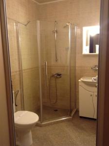 a bathroom with a shower with a toilet and a sink at Hotel Romantic in Sofia
