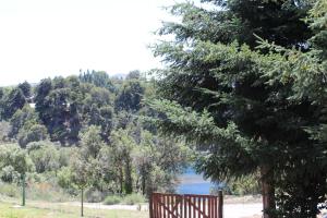 eine Holzbank unter einem Baum in der Nähe eines Sees in der Unterkunft El Arrayan in Villa Pehuenia