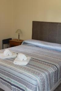 Легло или легла в стая в El Arrayan