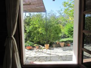 A garden outside Casita la Luna Rosa