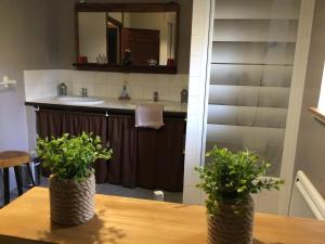 Φωτογραφία από το άλμπουμ του Chambre d hôtes Domaine Des Patrus σε LʼÉpine-aux-Bois