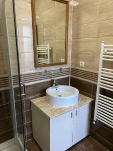 a bathroom with a sink and a mirror at CASA VELDONI in Brăneşti