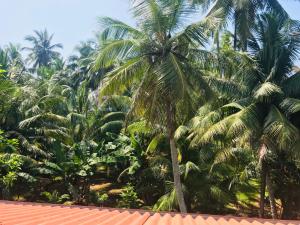 a group of palm trees behind a red roof at Villa Sureka in Hikkaduwa