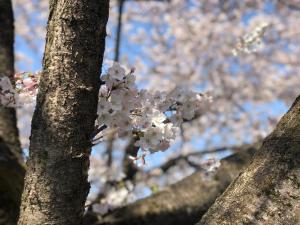 Foto dalla galleria di Hotel Heritage a Kumagaya