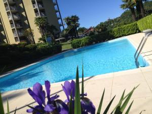 a swimming pool with purple flowers in front of a building at EV 37 in Germignaga