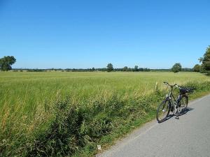 uma bicicleta estacionada numa estrada ao lado de um campo em Ferienwohnungen Bekperle em Bekdorf