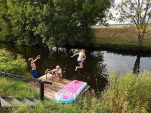 Quatro rapazes a saltar de uma doca para um rio. em Ferienwohnungen Bekperle em Bekdorf