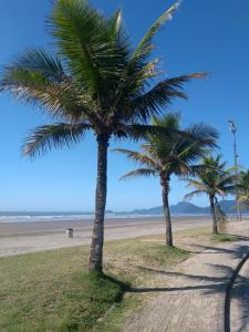 dos palmeras en la playa en Casa de praia Peruibe, en Peruíbe