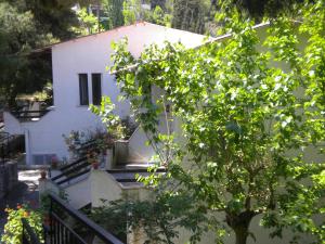 A garden outside ILIOCHARI sea view apartments Oropos - Kalamos