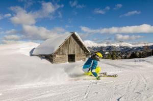 a person on skis in the snow in front of a cabin at Apartment Lakeside in Turracher Hohe