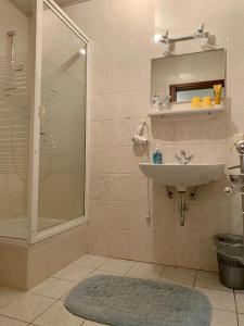 La salle de bains est pourvue d'un lavabo et d'une douche. dans l'établissement Haus Am Burghain, à Naumburg