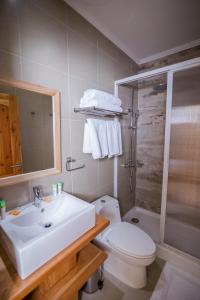 a bathroom with a sink and a toilet and a shower at Huellas y Senderos Hotel in Coihaique