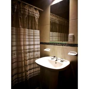 La salle de bains est pourvue d'un lavabo et d'un rideau de douche. dans l'établissement Departamentos Pequeña Ramona, à San Rafael