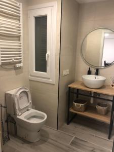 a bathroom with a toilet and a sink and a mirror at AMARA PIO XII PARKING 15E night WIFI TERRACE in San Sebastián