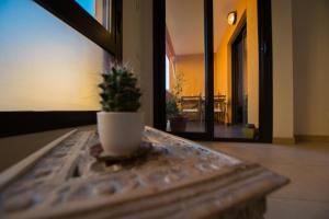 Kép Cosy Palm-Mar FREE WIFI szállásáról Palm-marban a galériában Még 16 kép