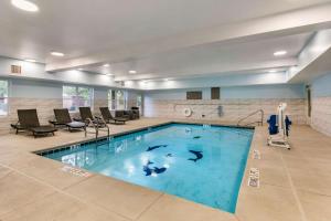 a swimming pool with dolphins in a hotel room at Clarion Pointe Columbus-Bradley Park in Columbus