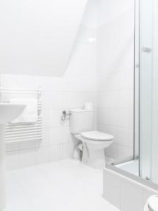 a white bathroom with a toilet and a shower at Willa Ślimakówka in Zakopane