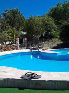 Una gran piscina azul con pinzas. en Casa Adega - Quinta Amoreira en Faro