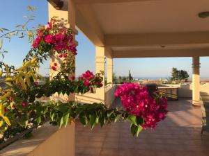 A balcony or terrace at Aphrodite Sands Resort - The Penthouse