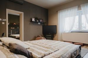 ジェールにあるKényelmes apartman a belváros szélénのベッドルーム(大型ベッド1台、薄型テレビ付)