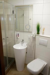 a bathroom with a toilet and a sink and a shower at Hotel Restaurant Rodizio Paderborn in Altenbeken