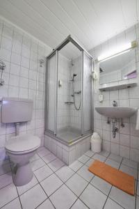 a bathroom with a shower and a toilet and a sink at Hotel Schoos in Fleringen