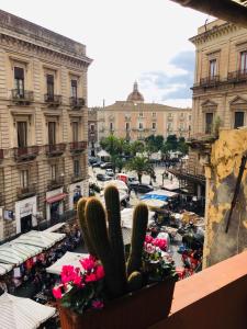 un balcone con vista su una città con cactus di La Mansarda-roof a Catania