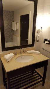 a bathroom with a sink and a mirror at Shamrock Lodge Hotel in Athlone