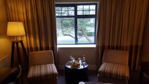 Posedenie v ubytovaní Shamrock Lodge Hotel