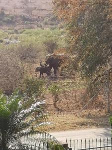 Gallery image of Kruger Allo View B&B in Komatipoort