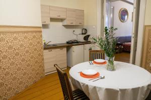 Dapur atau dapur kecil di Vavelsky Apartments - Old Town