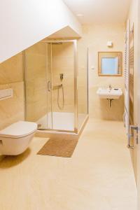 y baño con ducha, aseo y lavamanos. en Exclusive penzion Viva Residence, en Mladá Boleslav