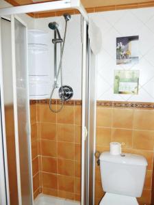 een badkamer met een douche en een toilet bij Las endrinas in Llanes