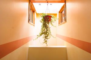 Fotografie z fotogalerie ubytování Hotel Santafe Inn v destinaci Otavalo