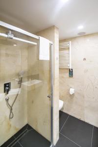 a bathroom with a shower and a sink and a toilet at Mercure Jelenia Góra in Jelenia Góra