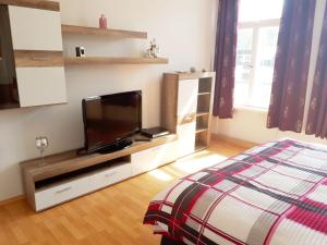 1 dormitorio con TV de pantalla plana y 1 cama en Pension Altenburg City, en Altemburgo