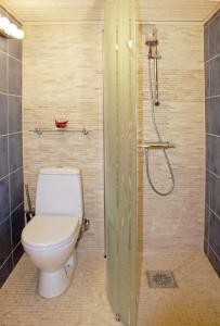 uma casa de banho com um WC e um chuveiro em Haus Fjäril em Laxeby