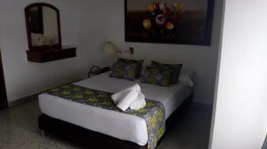 Postel nebo postele na pokoji v ubytování Hotel Mirador Santana