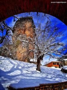 a tree in the snow in front of a building at Butichi Guest House in Chiatʼura