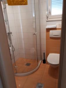 ein Bad mit einer Glasdusche und einem WC in der Unterkunft S&M Apartments in Drače