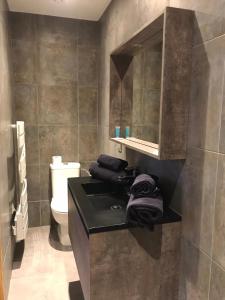 a bathroom with a sink and a toilet at Le domaine de barbizon in Saint-Martin-en-Bière