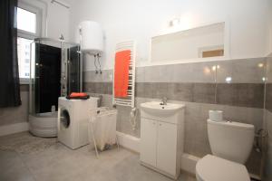 ein Bad mit einem WC, einem Waschbecken und einer Dusche in der Unterkunft Studio Ali 1 in Sosnowiec