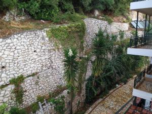 an overhead view of a stone wall with palm trees at Katerina Lefkada in Vasiliki